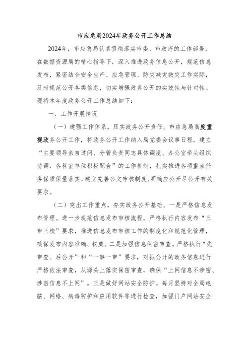 市应急局2024年政务公开工作总结.docx