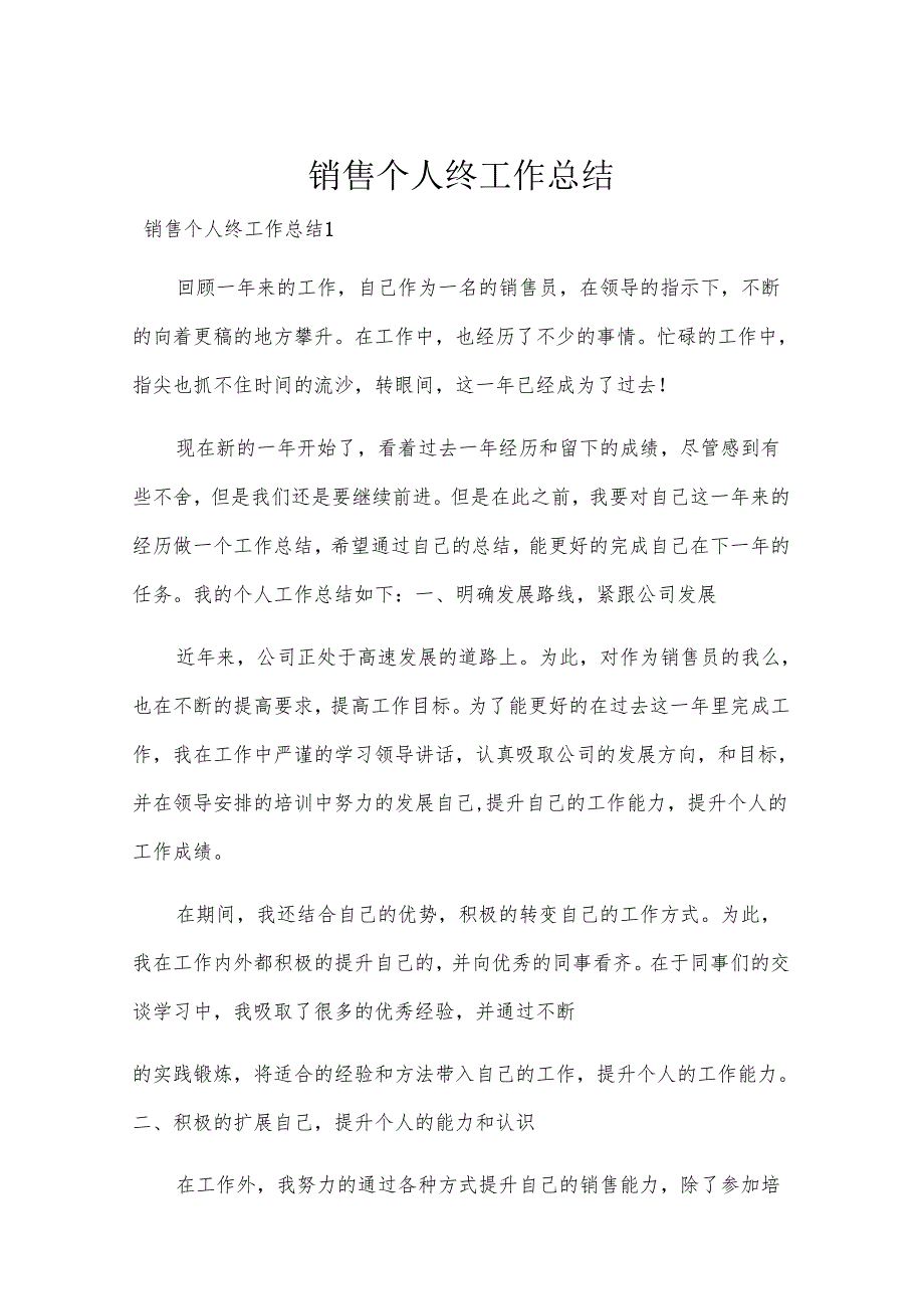 销售个人终工作总结.docx_第1页