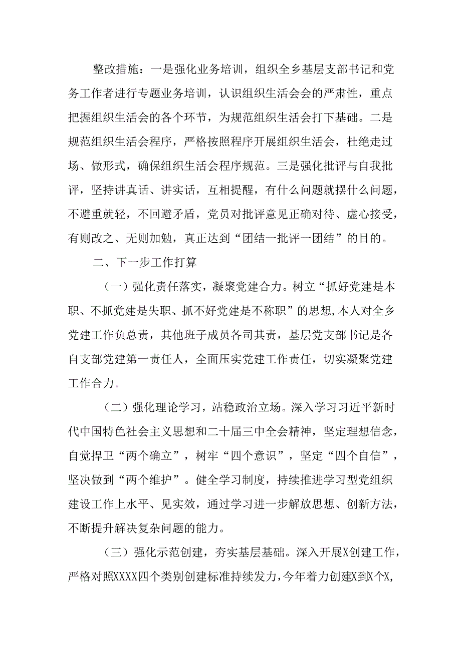 乡镇2024年度基层党建工作整改报告.docx_第3页