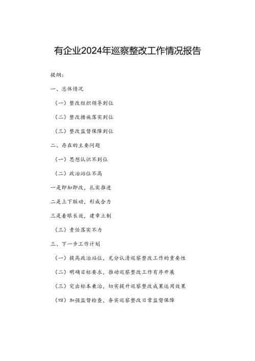 国有企业2024年巡察整改工作情况报告.docx