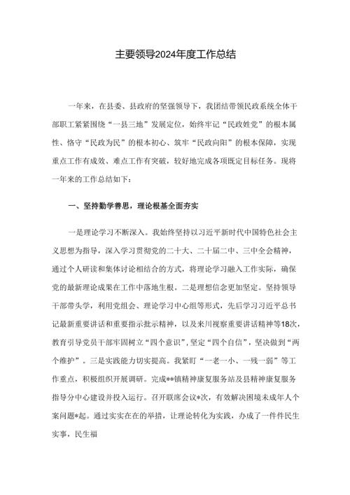 主要领导2024年度工作总结.docx