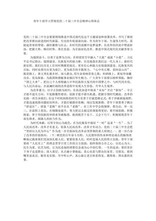 青年干部学习贯彻党的二十届三中全会精神心得体会.docx