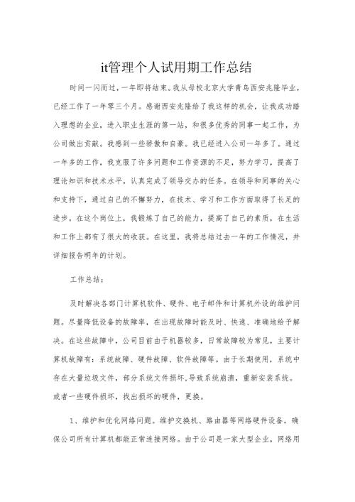 it管理个人试用期工作总结.docx