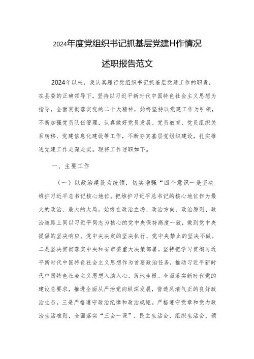 2024年度党组织书记抓基层党建工作情况述职报告范文.docx