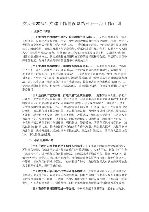党支部2024年党建工作情况总结及下一步工作计划.docx