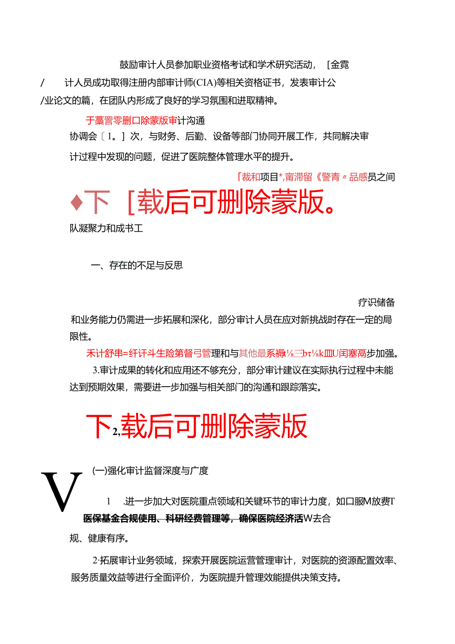 2024年医院审计部工作总结及2025年工作计划（详细版）.docx_第3页