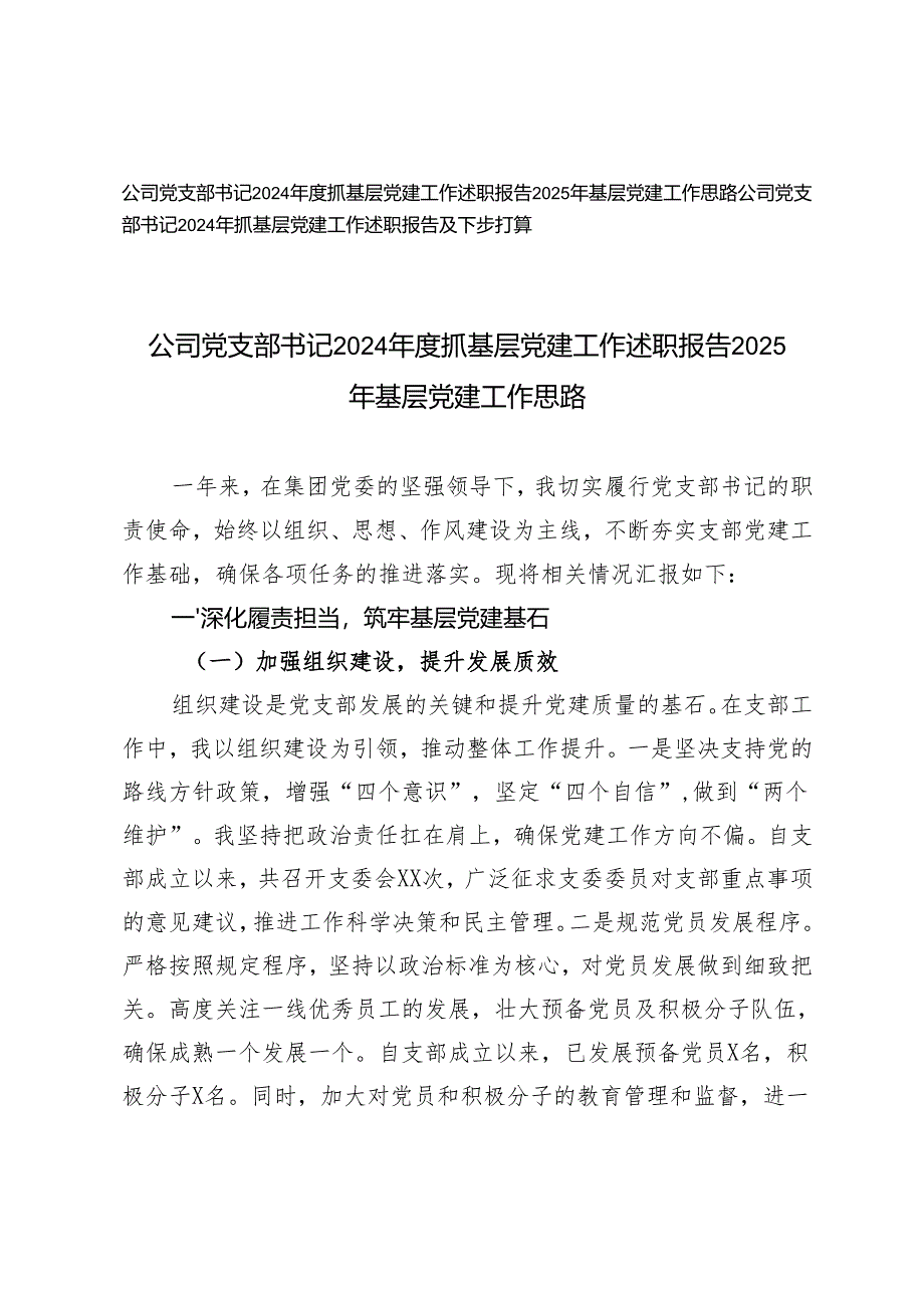 公司党支部书记2024年度抓基层党建工作述职报告2025年基层党建工作思路.docx_第1页