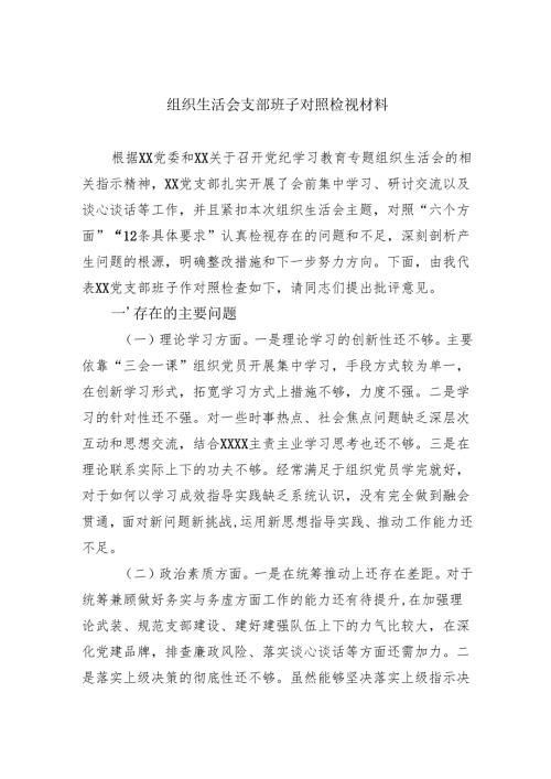 组织生活会支部班子对照检视材料.docx