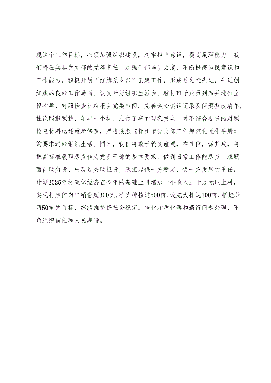 乡镇在2025年党建工作务虚会的表态发言.docx_第3页