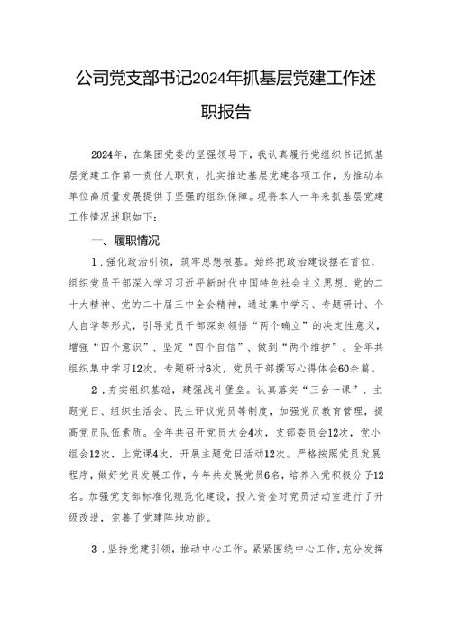 公司党支部书记2024年抓基层党建工作述职报告.docx