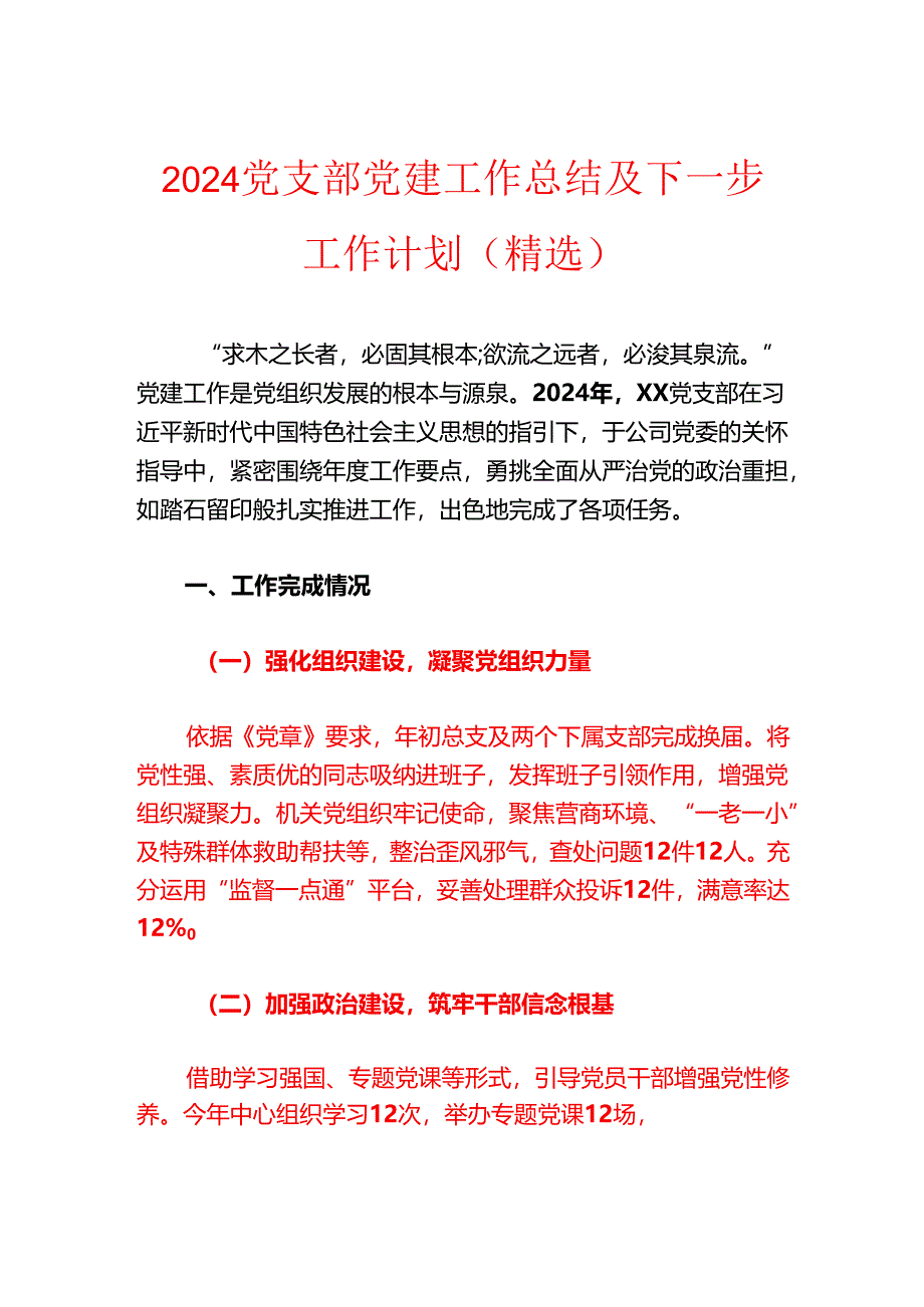 2024党支部党建工作总结及下一步工作计划（精选）.docx_第1页