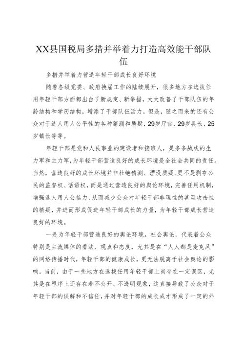 XX县国税局多措并举着力打造高效能干部队伍.docx