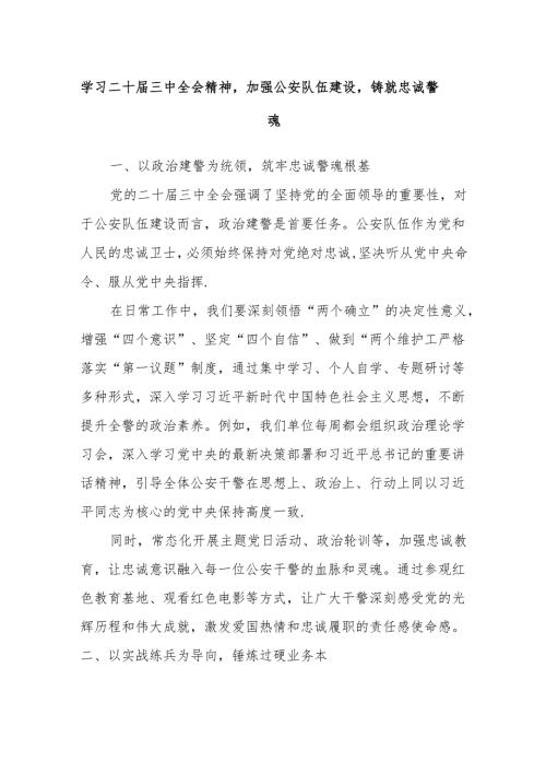 学习二十届三中全会精神加强公安队伍建设铸就忠诚警魂.docx