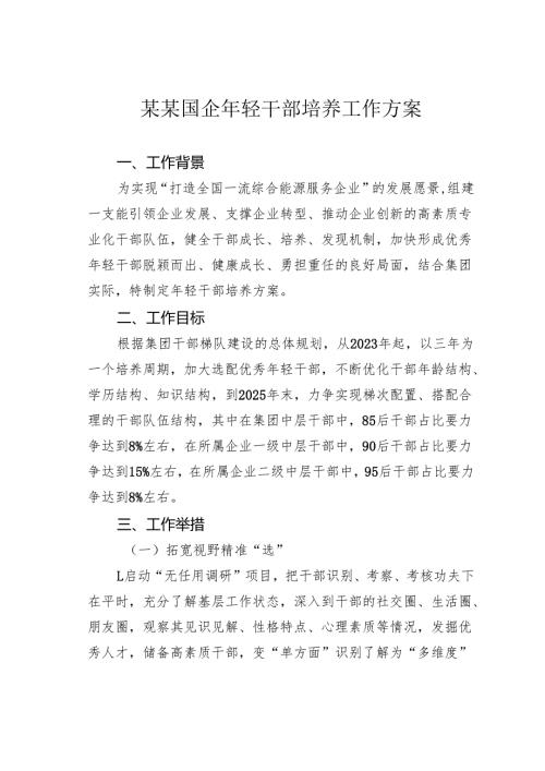 某某国企年轻干部培养工作方案.docx