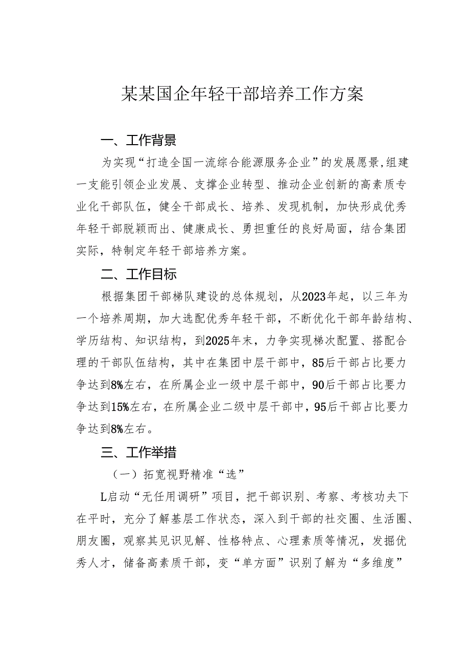 某某国企年轻干部培养工作方案.docx_第1页