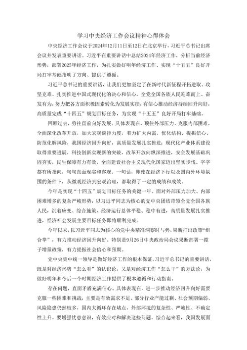 学习2025经济工作会议精神心得体会05.docx
