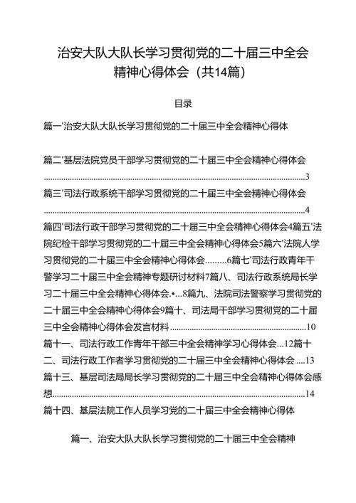 治安大队大队长学习贯彻党的二十届三中全会精神心得体会14篇（精选）.docx