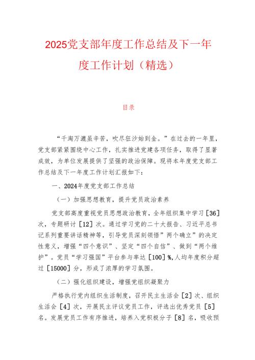 2025党支部年度工作总结及下一年度工作计划（精选）.docx