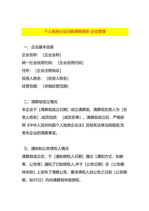 个人独资企业注销清算报告-企业管理.docx