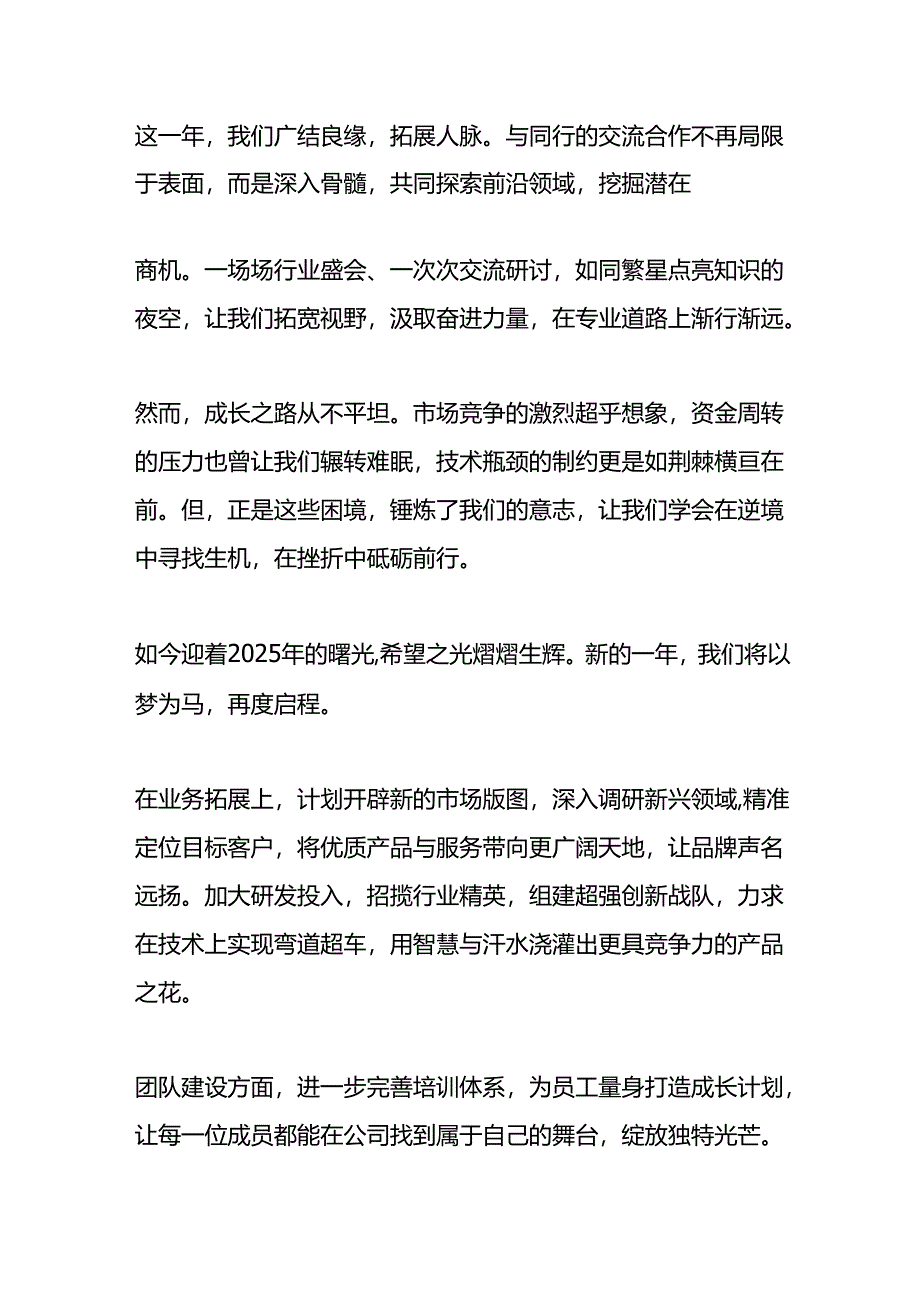 回首 2024展望 2025：逐光前行再启新程.docx_第2页