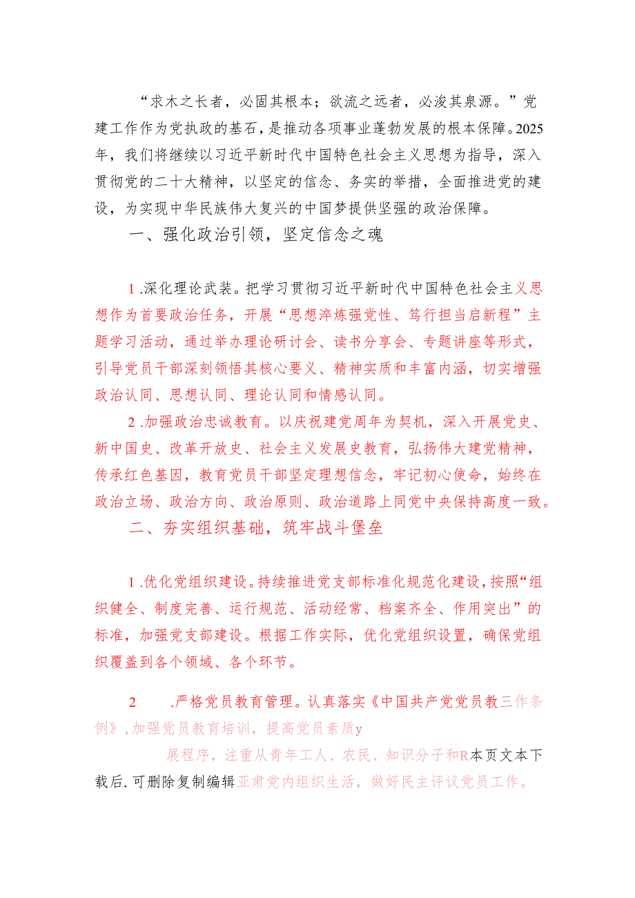 2025 年党建工作要点及计划（最新版）.docx_第2页