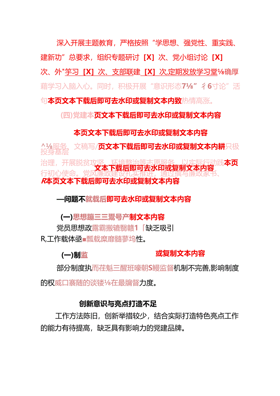 1.党支部党建工作总结及下一步工作计划（精选）.docx_第3页
