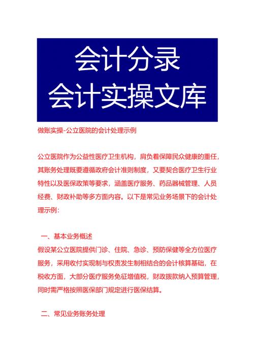 做账实操-公立医院的会计处理示例.docx