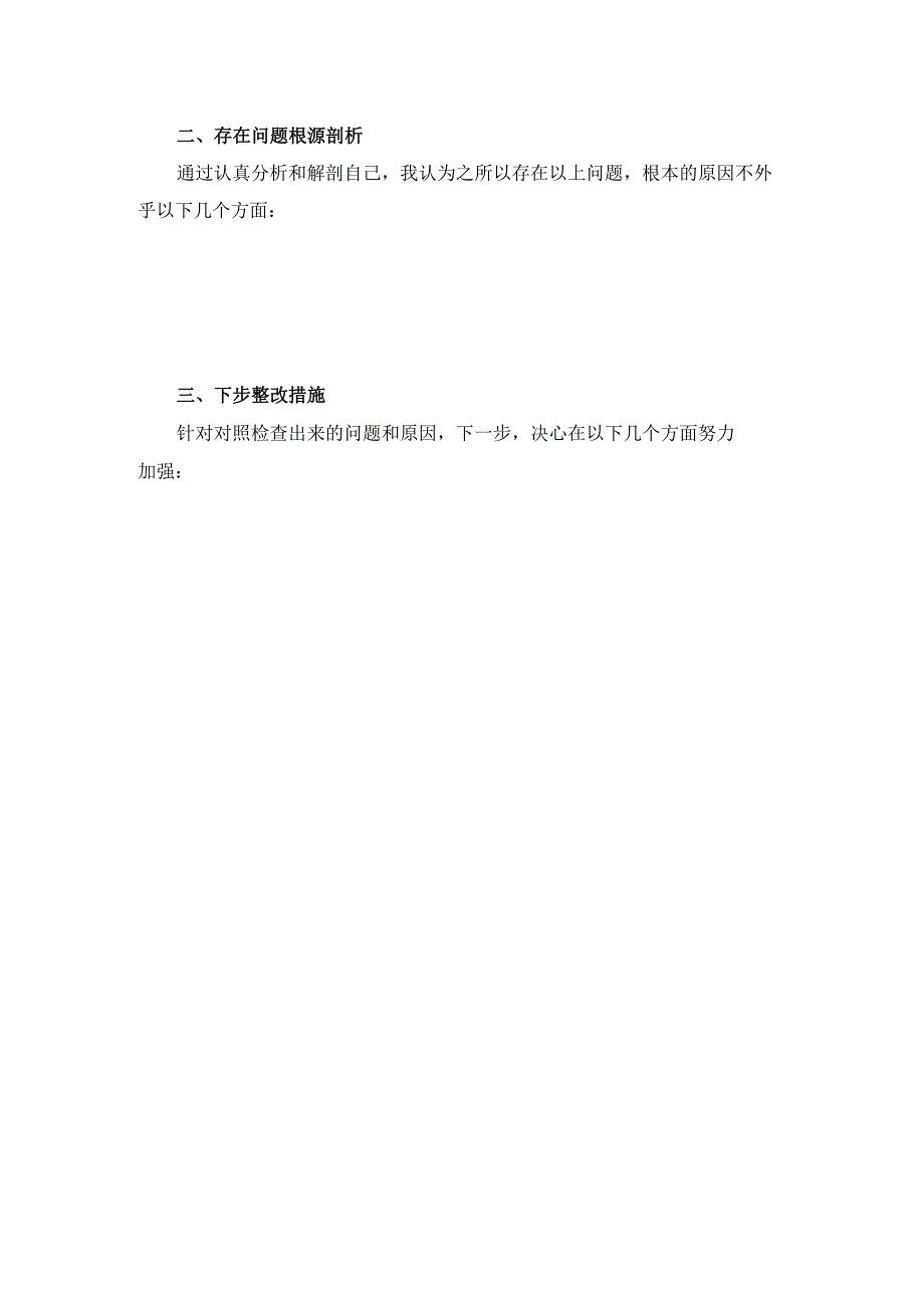 2024-2025年度五个方面剖析整改措施.docx_第3页