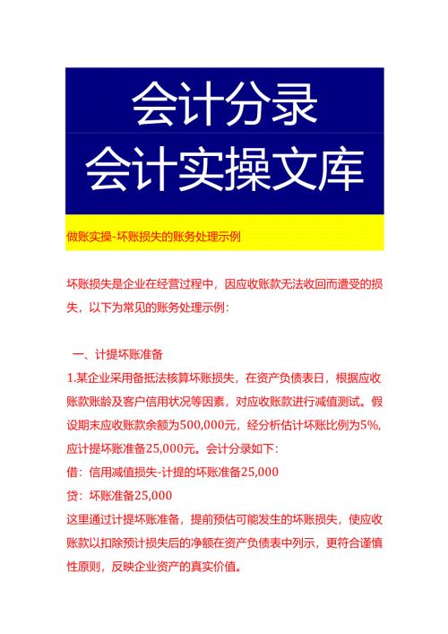 做账实操-坏账损失的账务处理示例.docx