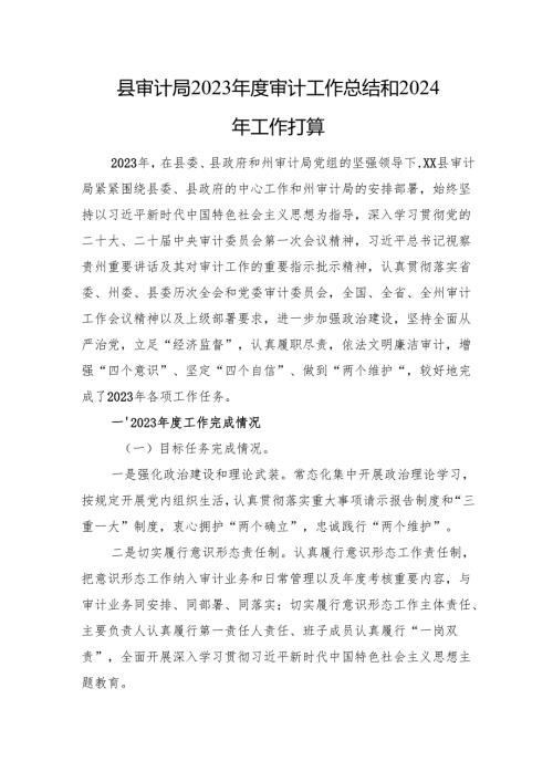 县审计局2023年度审计工作总结和2024年工作打算(20240119).docx