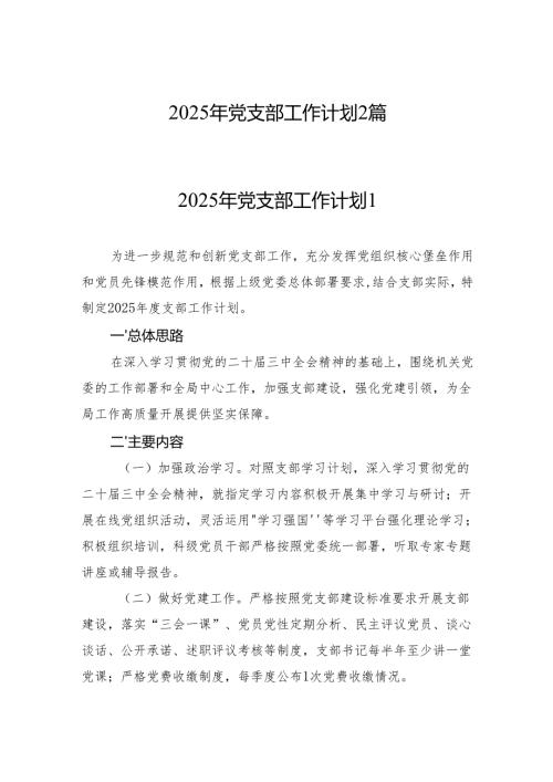 2025年党支部工作计划2篇.docx
