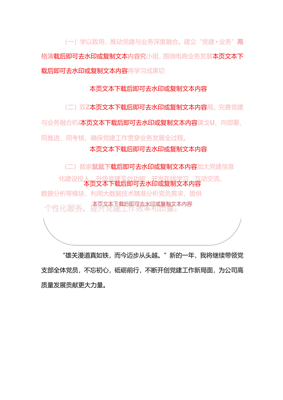 2025 年公司党支部书记抓基层党建工作述职报告（精选）.docx_第3页