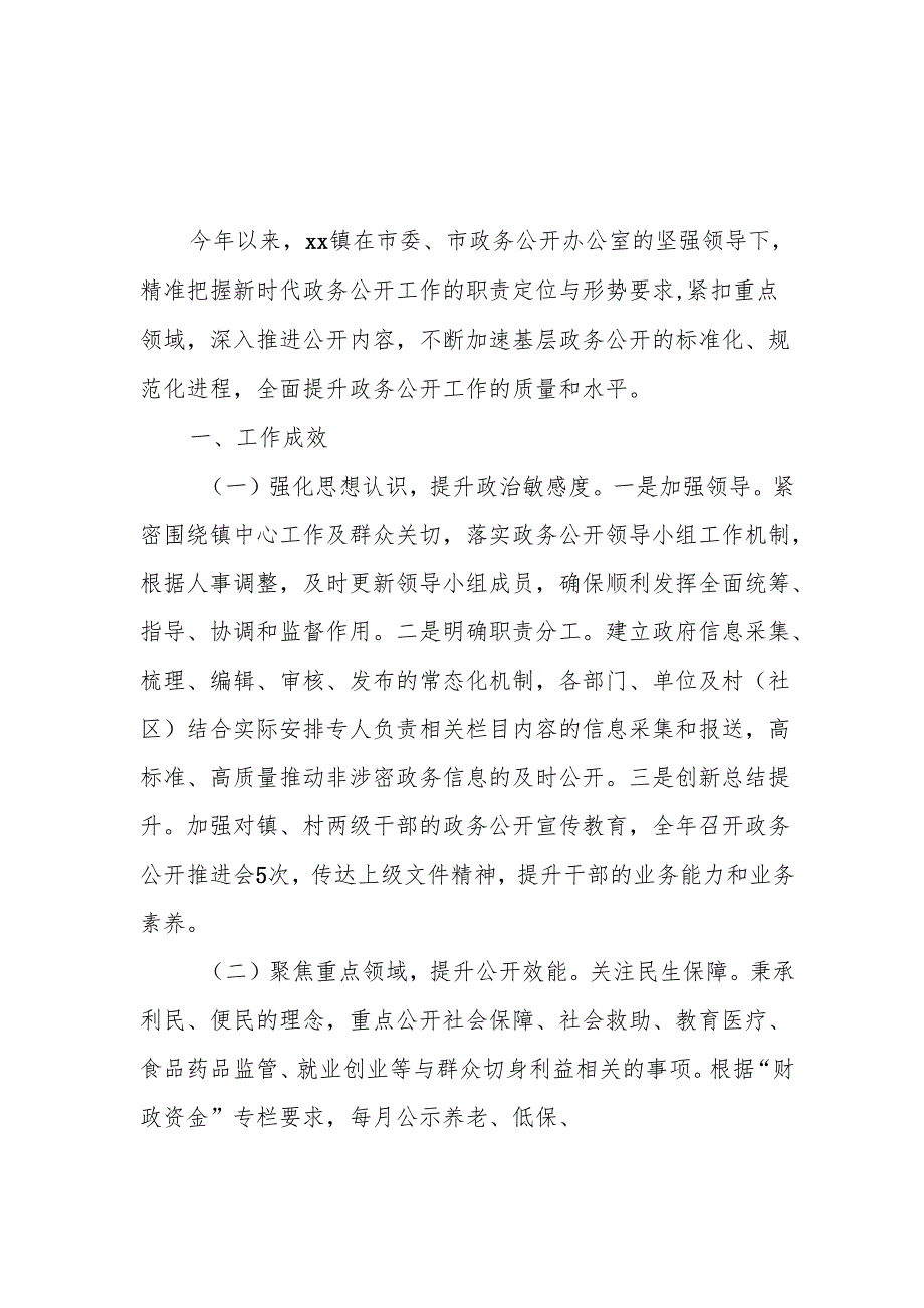 2024年政务公开工作总结.docx_第1页