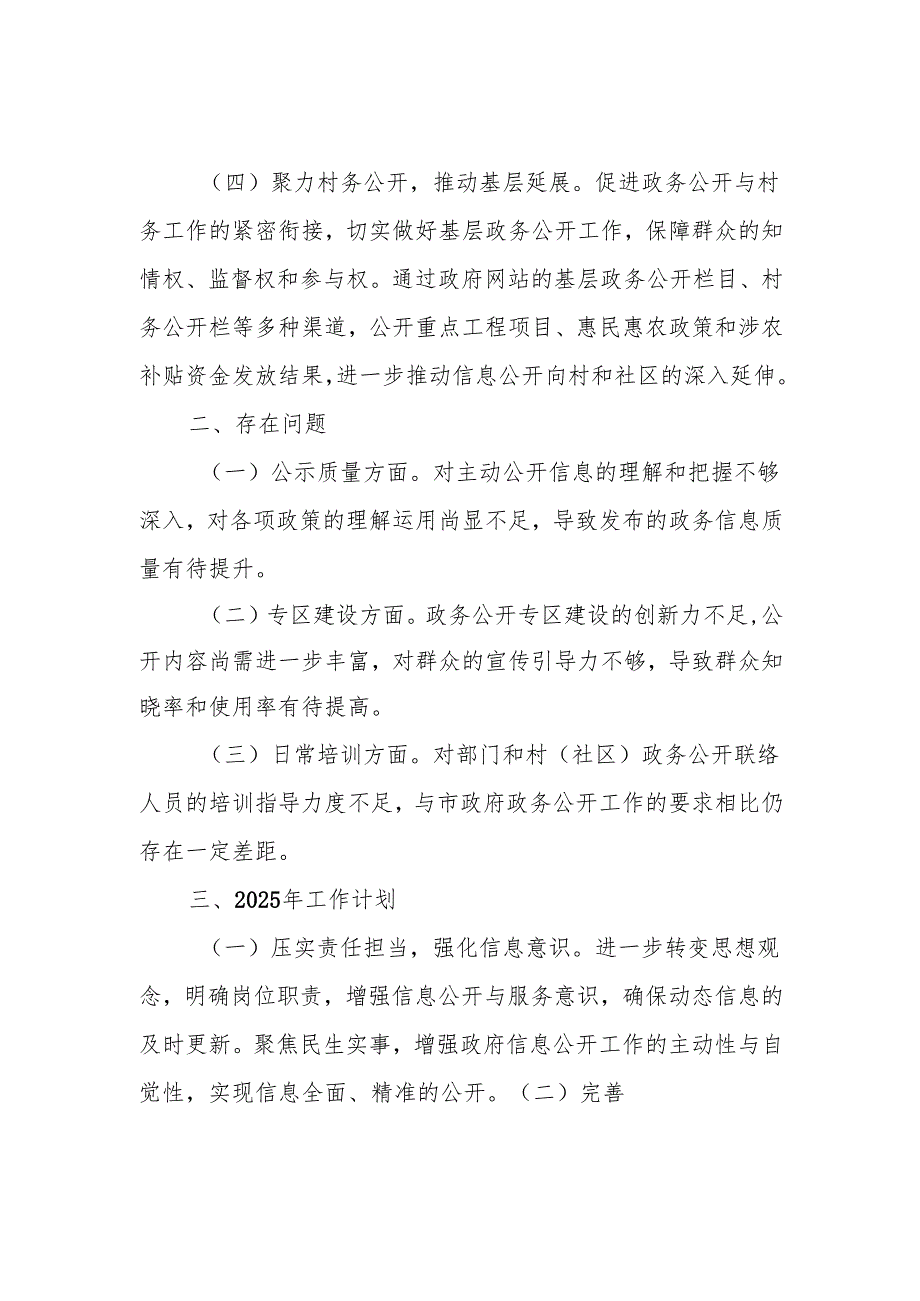 2024年政务公开工作总结.docx_第3页