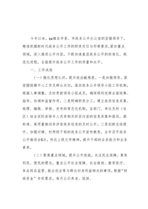 2024年政务公开工作总结.docx