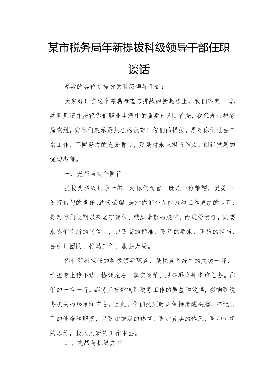 某市税务局年新提拔科级领导干部任职谈话.docx_第1页