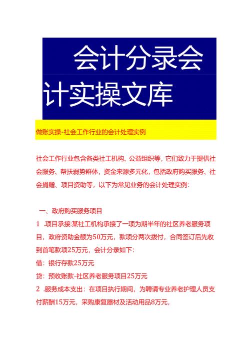 做账实操-社会工作行业的会计处理实例.docx