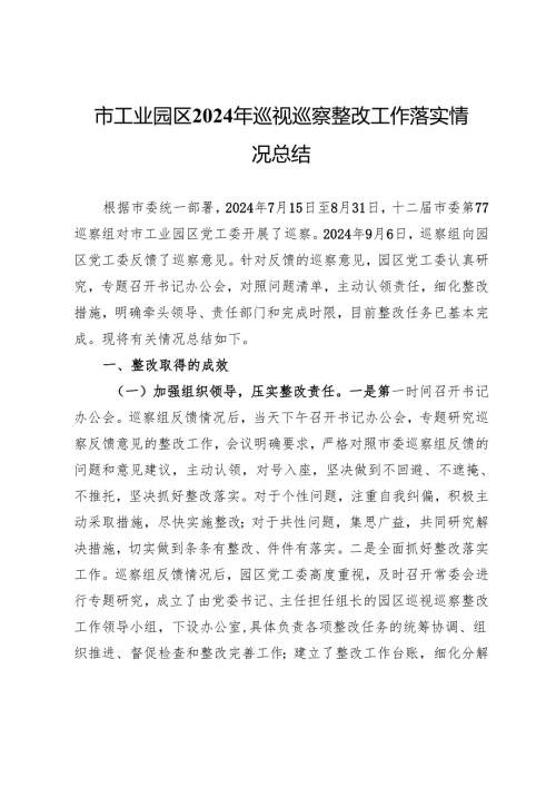 市工业园区2024年巡视巡察整改工作落实情况总结.docx