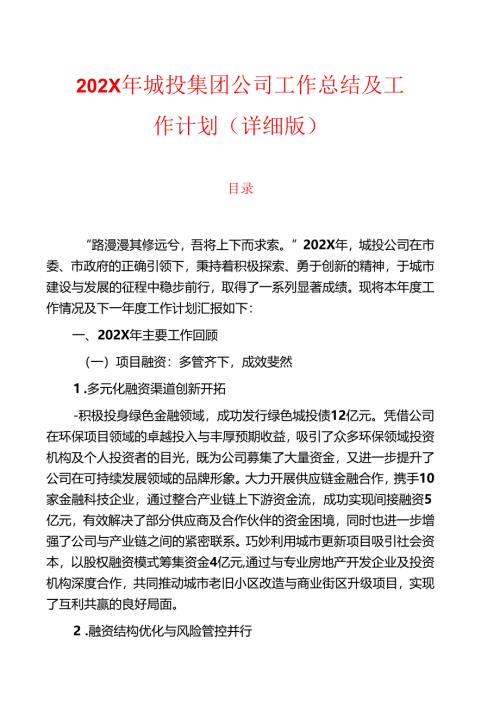 202X年城投集团公司工作总结及工作计划（详细版）.docx