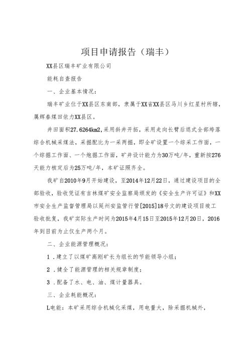 项目申请报告(瑞丰).docx