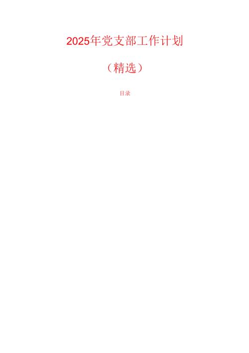 2025 党支部工作计划（精编）.docx
