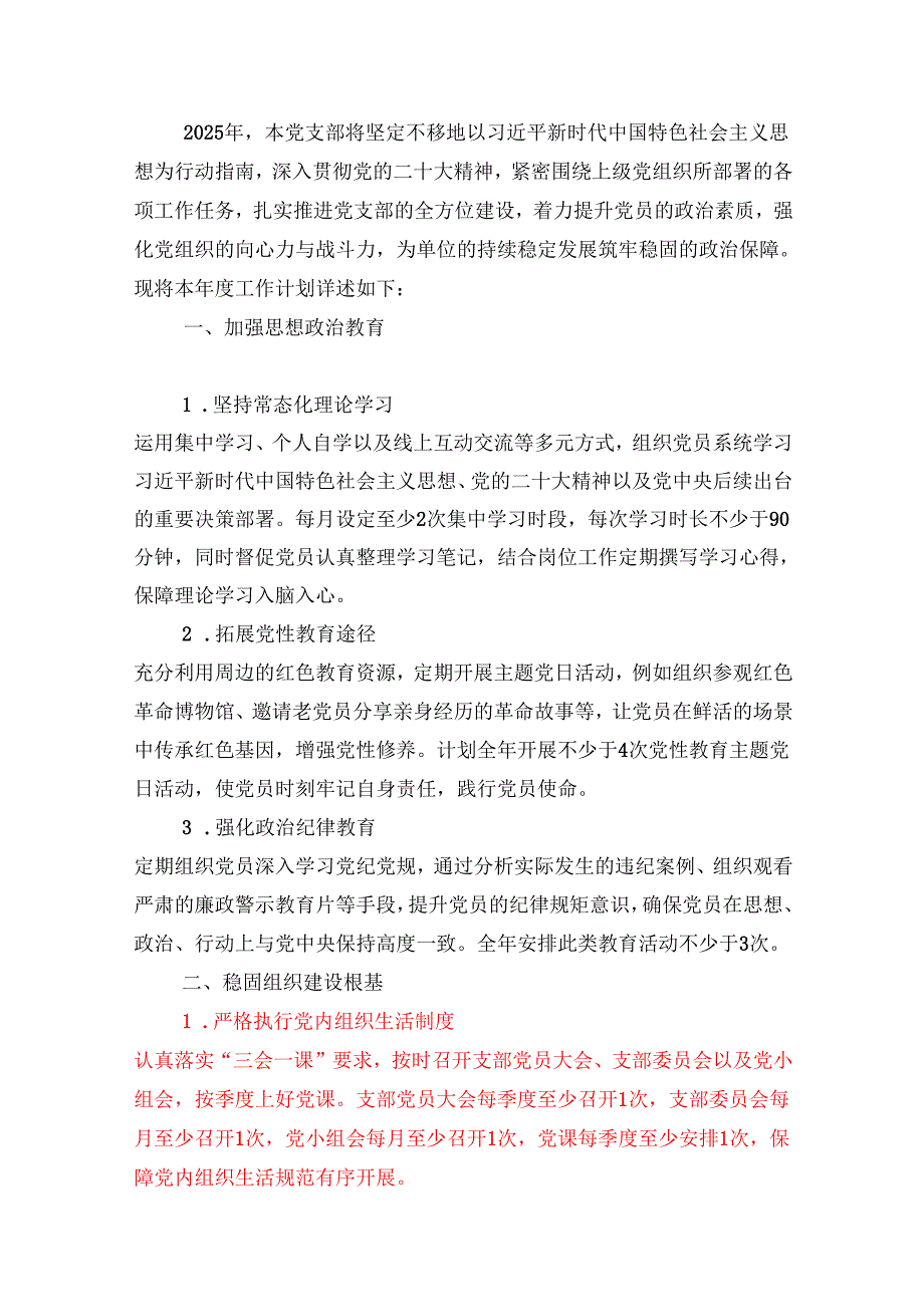 2025 党支部工作计划（精编）.docx_第2页