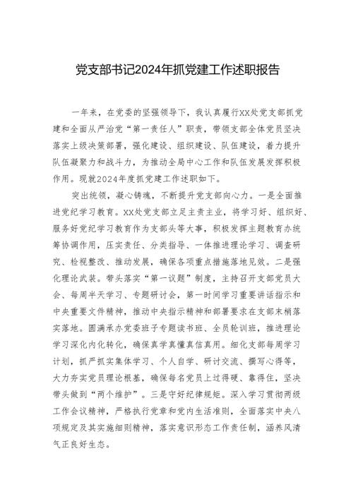 党支部书记2024年抓党建工作述职报告.docx