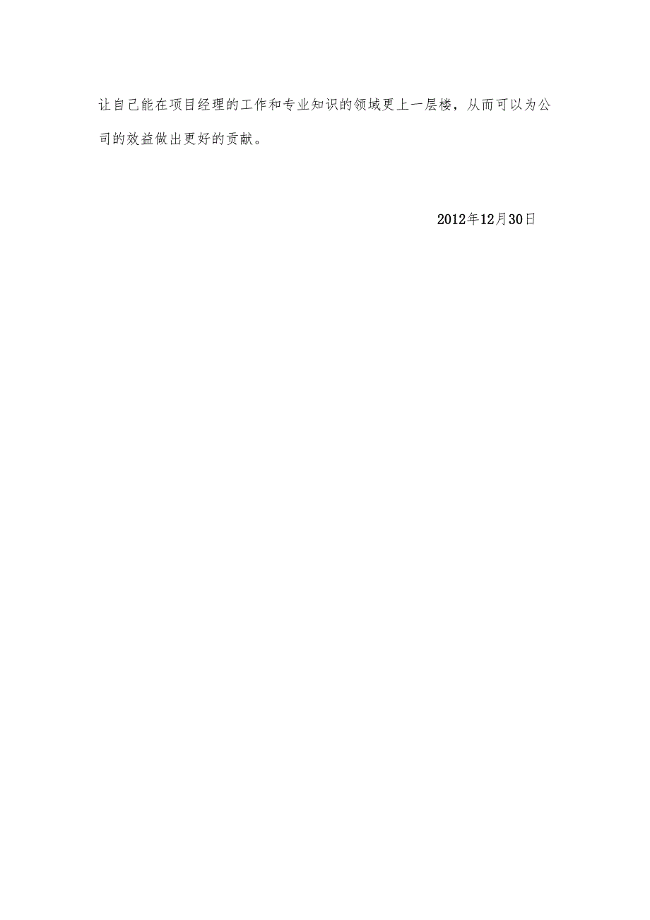 项目经理个人年终工作总结报告.docx_第3页