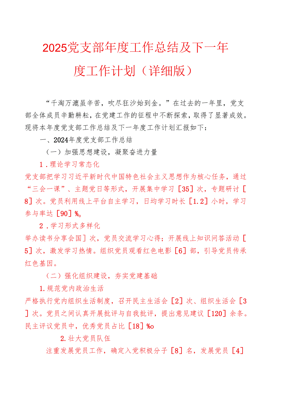 2025党支部年度工作总结及下一年度工作计划（详细版）.docx_第1页