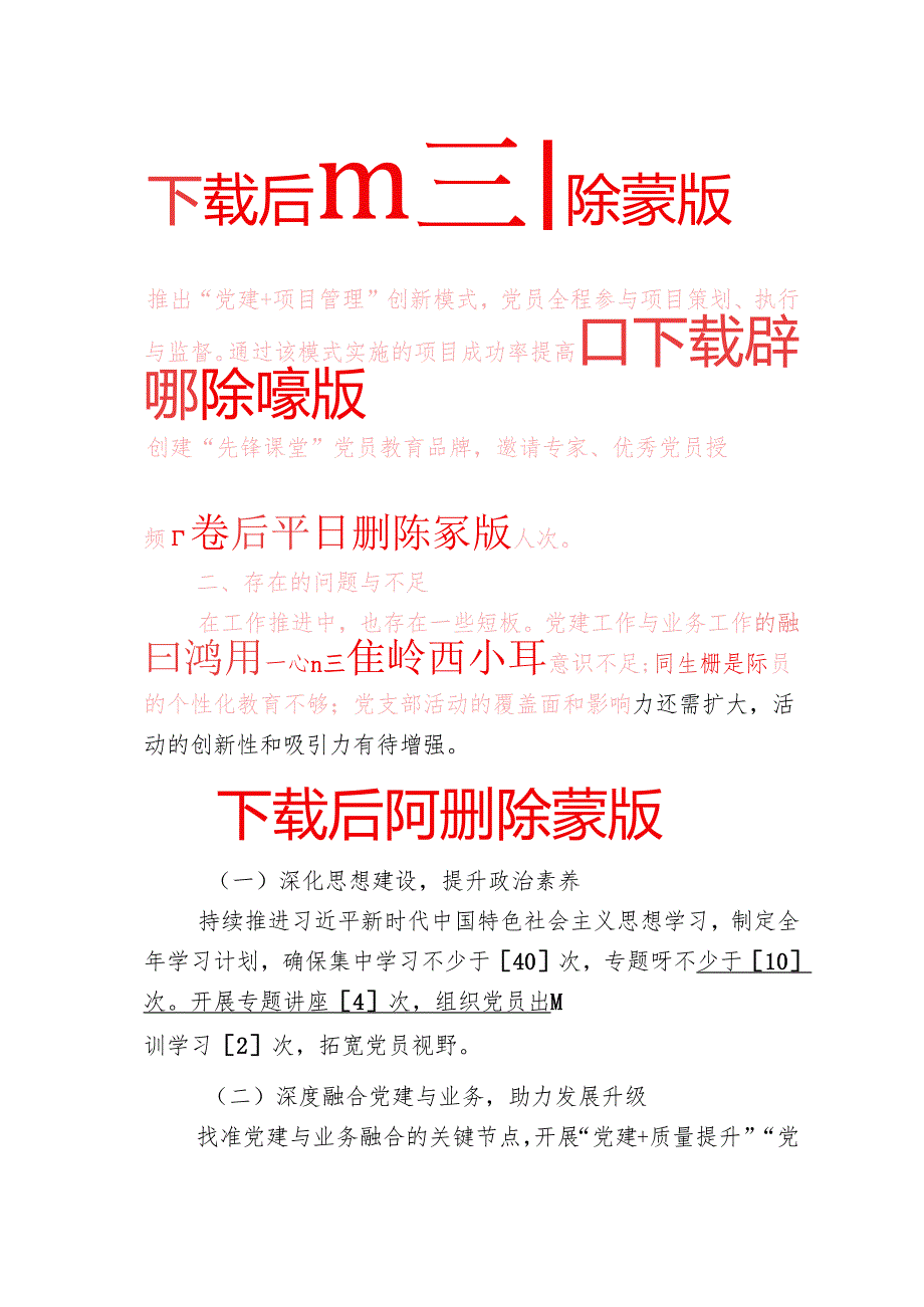 2025党支部年度工作总结及下一年度工作计划（详细版）.docx_第3页