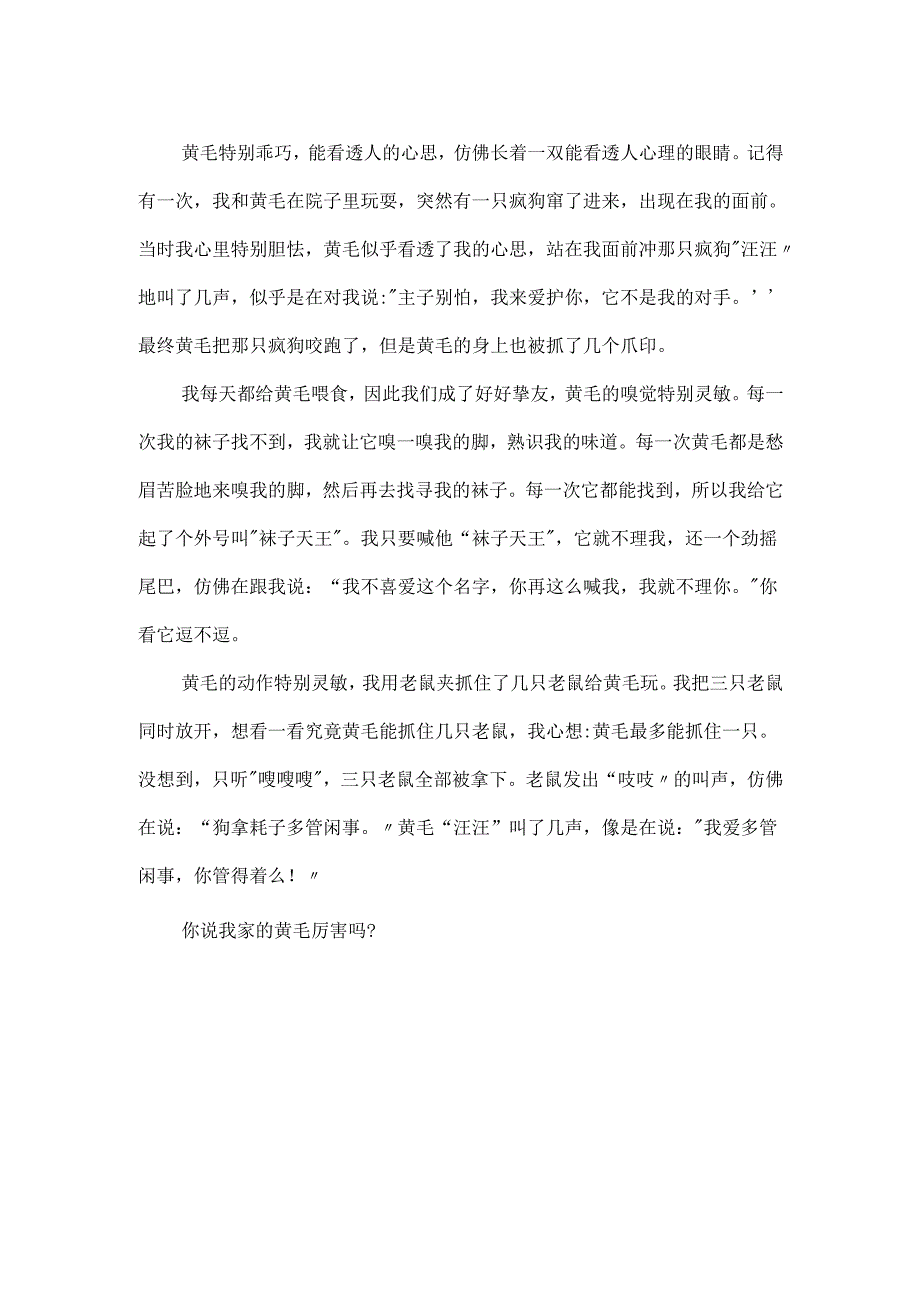 描写关于小狗外形的作文.docx_第2页