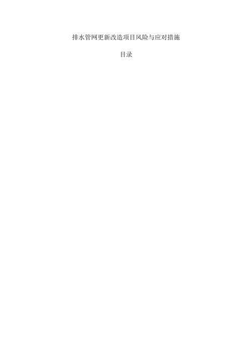 排水管网更新改造项目风险与应对措施.docx