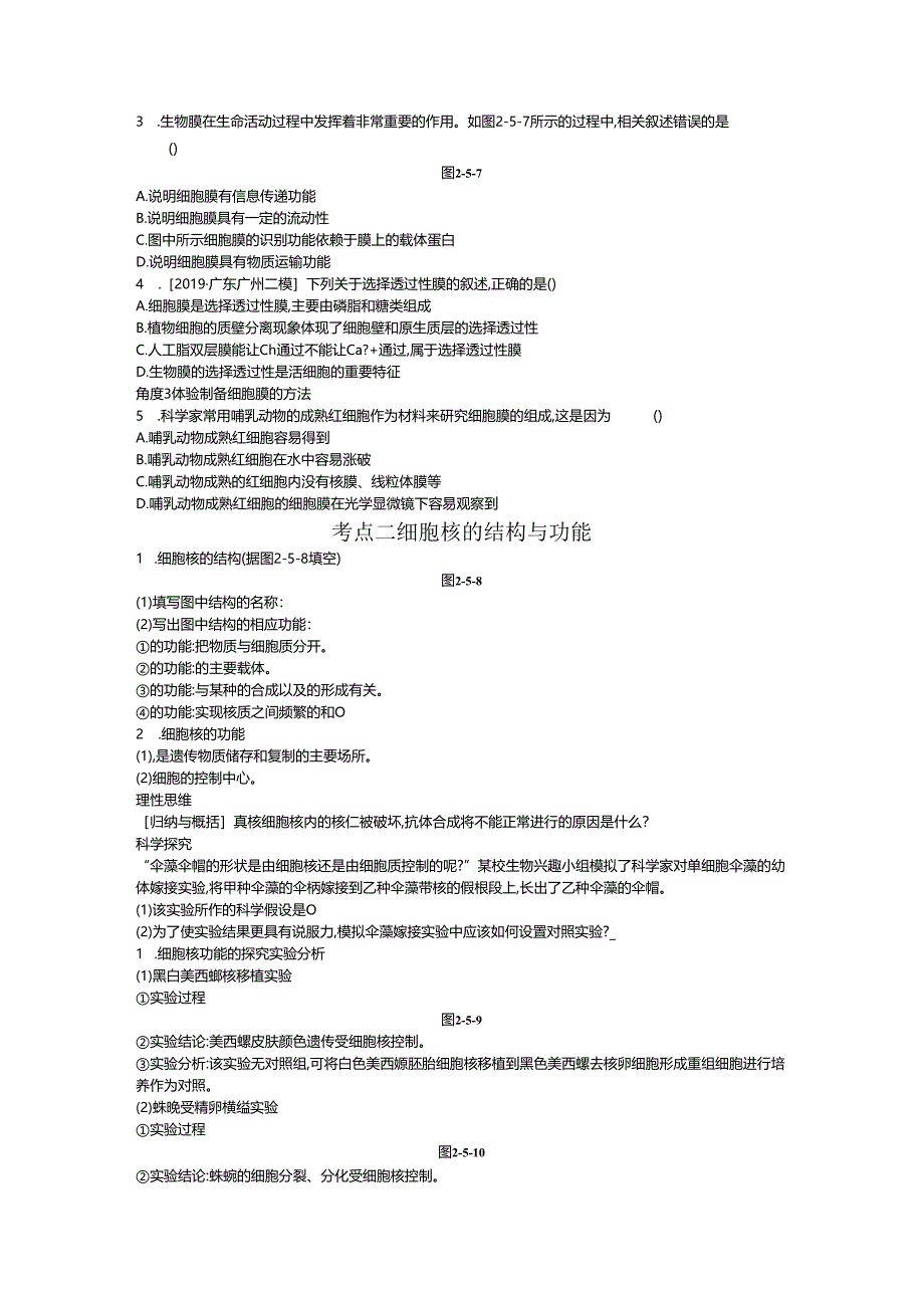 第5讲 细胞膜与细胞核.docx_第3页