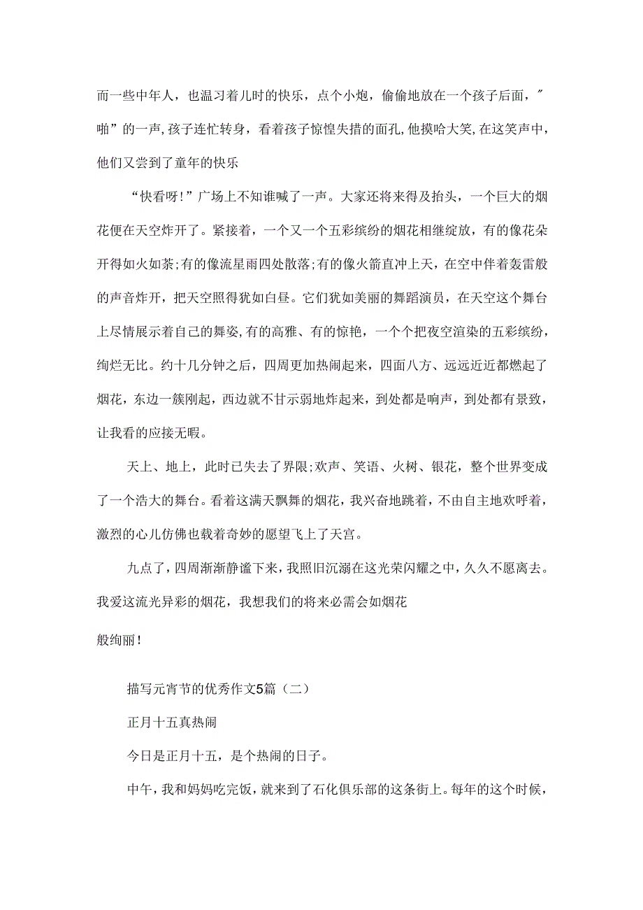 描写元宵节的优秀作文5篇.docx_第2页